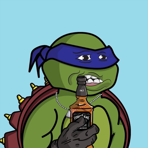 Degen Ninja Turtle #3531