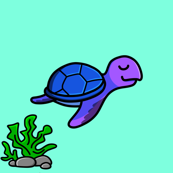 Toddler Turtle #854