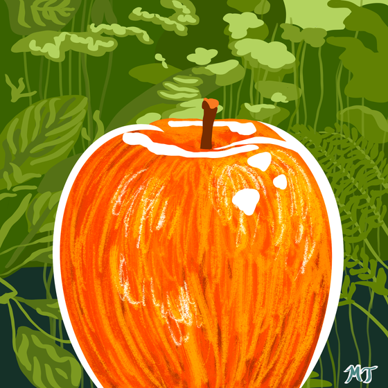 Morgan Tanner Awesome Apples #89