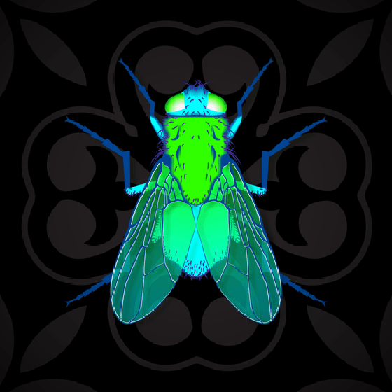 To Be A Fly On The Wall #66