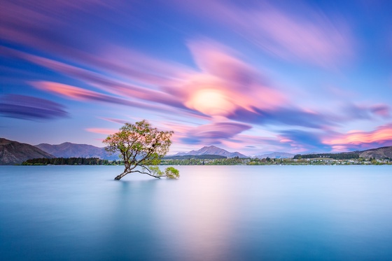 That Wanaka Cloud #17/40