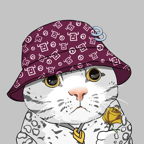 Puzzled cat #4617