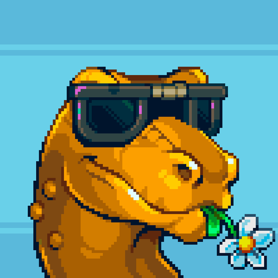 Cool Raptors #62