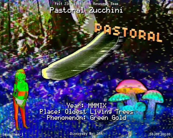 #156 | Pastoral Zucchini