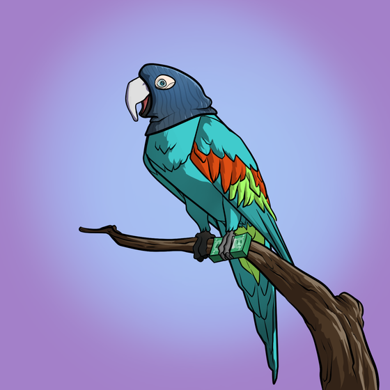 Proper Parrot Tree Club #9377