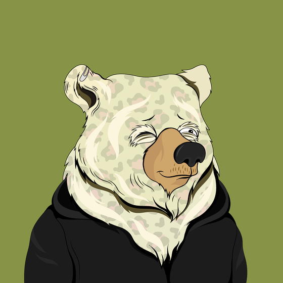 Fancy Bear #564