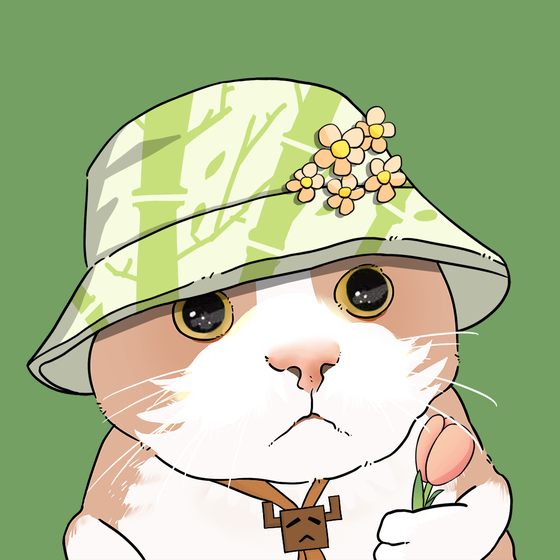 Puzzled cat #3043