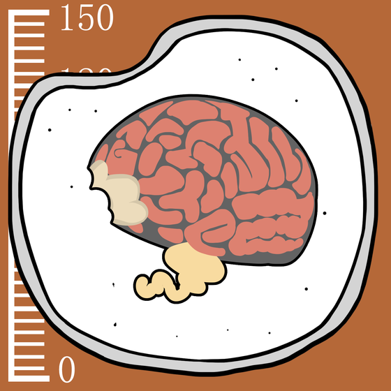 658