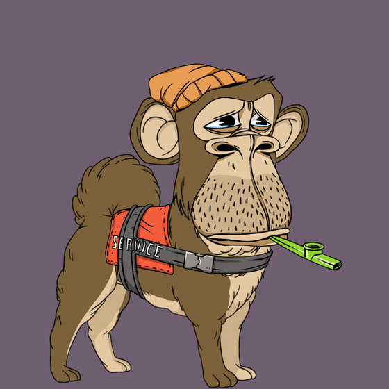 Kennel Ape #2239