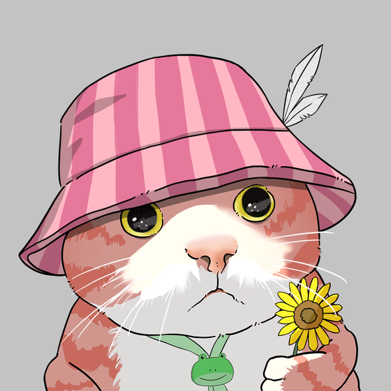 Puzzled cat #5489