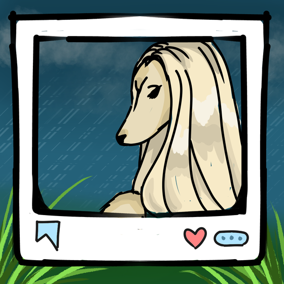 旅する犬 #699