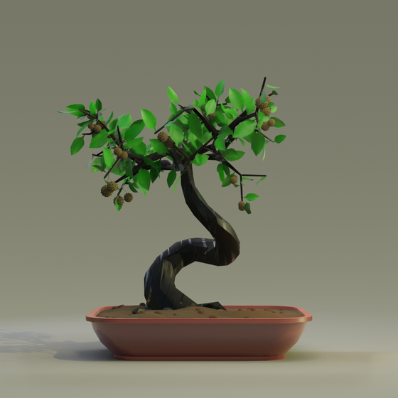 Bonsai #8771