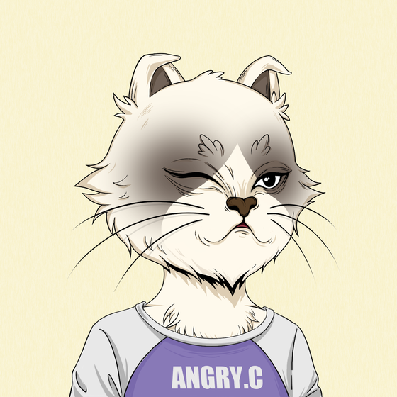 Angry Cat #3284