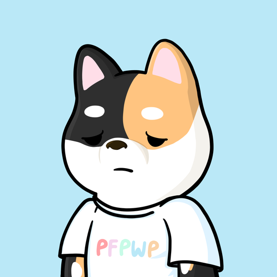 Shibe #2869