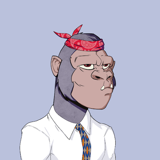 Kong #2308