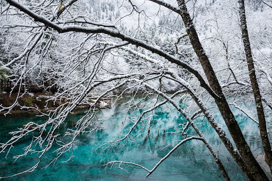 Seasons of Jiuzhaigou #28