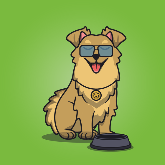 Fetch #55