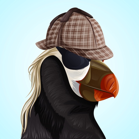 #354 Puffin