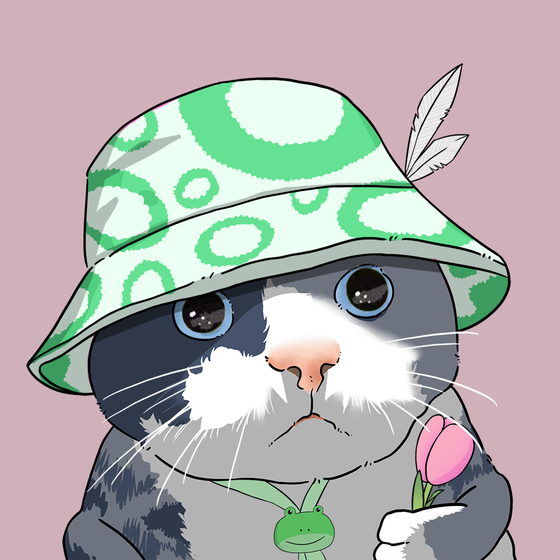 Puzzled cat #3774
