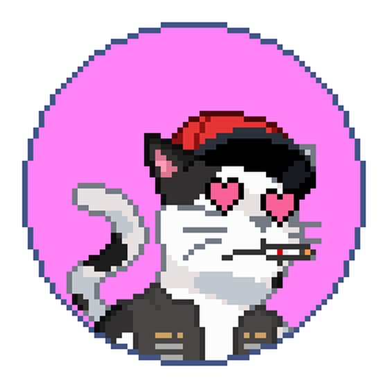 Catcoin #581