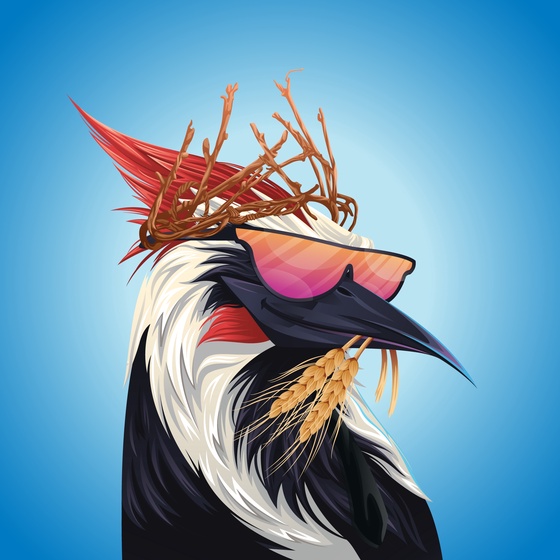 #17 Woodpecker