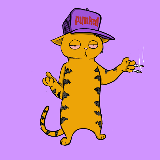 Blazed Cat #239