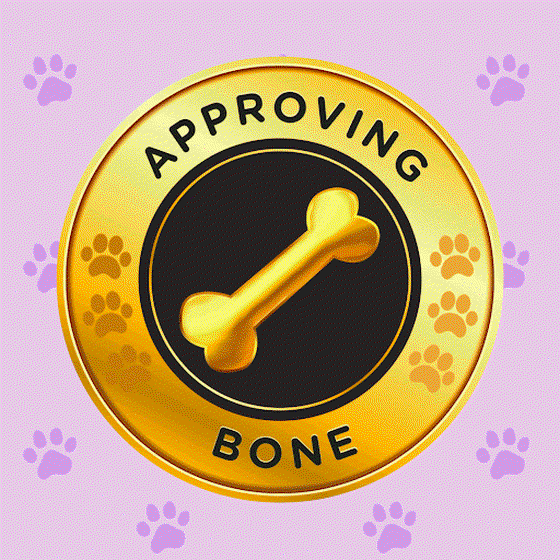 Approving Bone #172