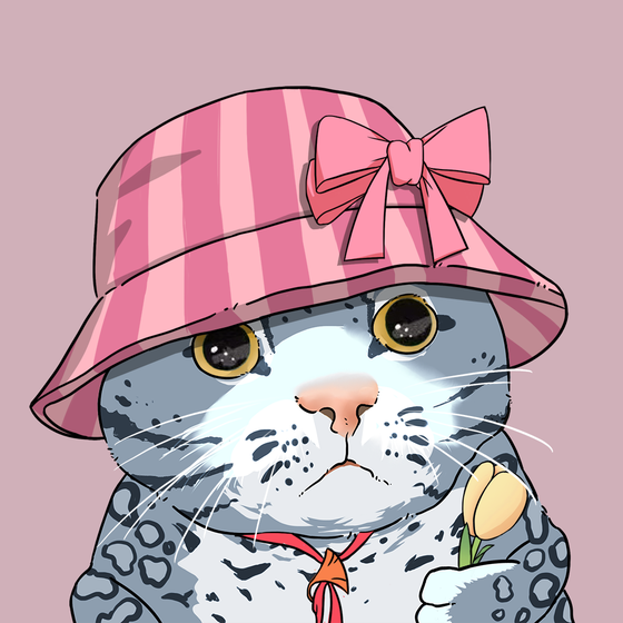 Puzzled cat #685