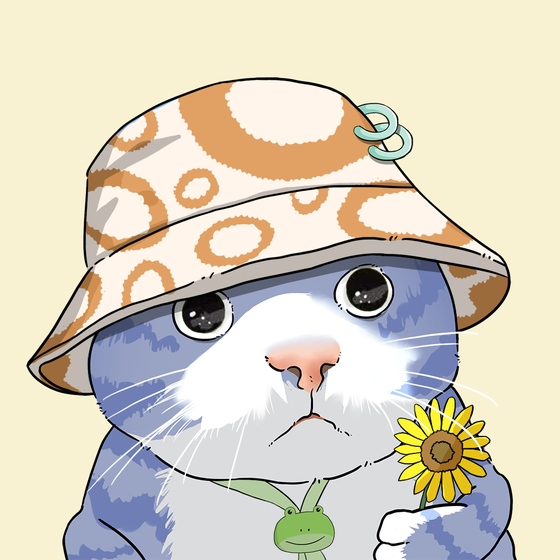 Puzzled cat #4020