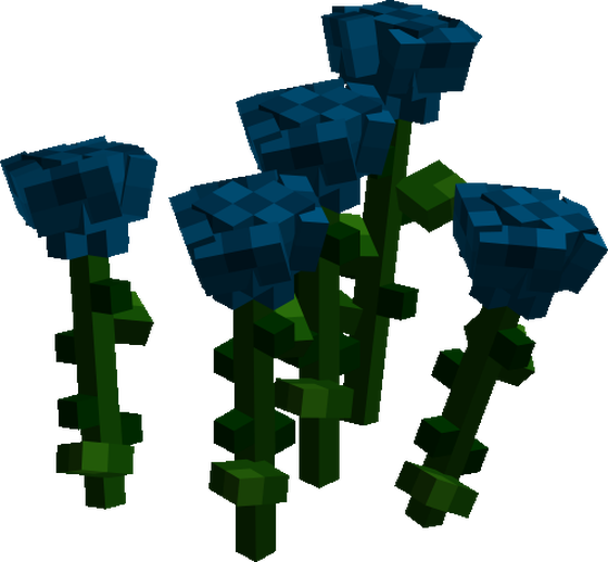Blue roses
