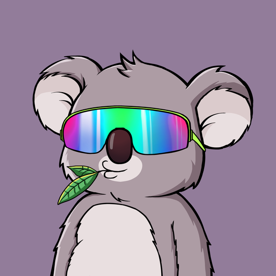 Koala Agent #37