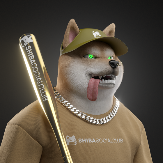 Shiba #7272