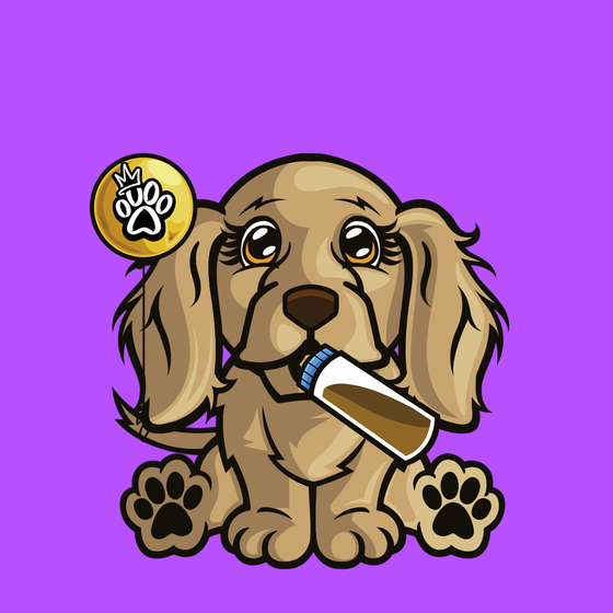 Cocker Spaniel 0375