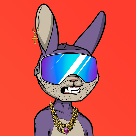 Mad Rabbit #0737