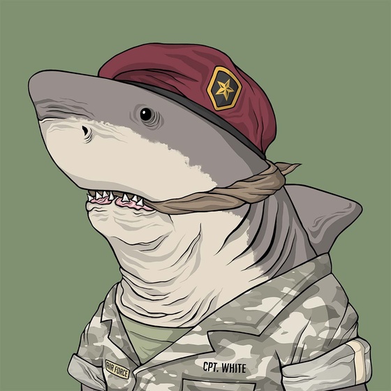 Justice Shark #7104