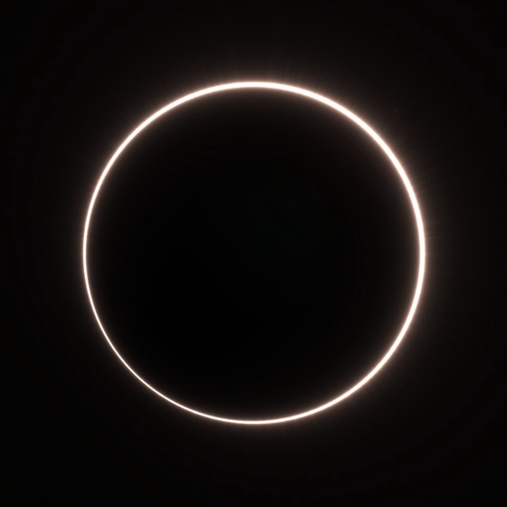 Totality #236