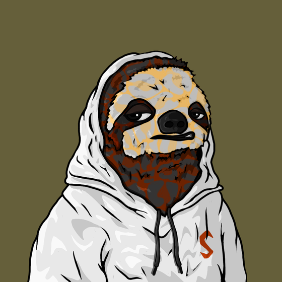 Sammy Sloth Amazon Rainforest Project #81