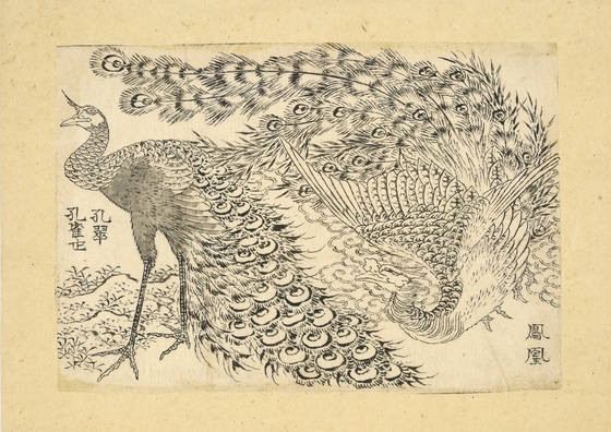 "Phoenix and peacock, from the series Illustrations for the Great Picture Book of Everything"