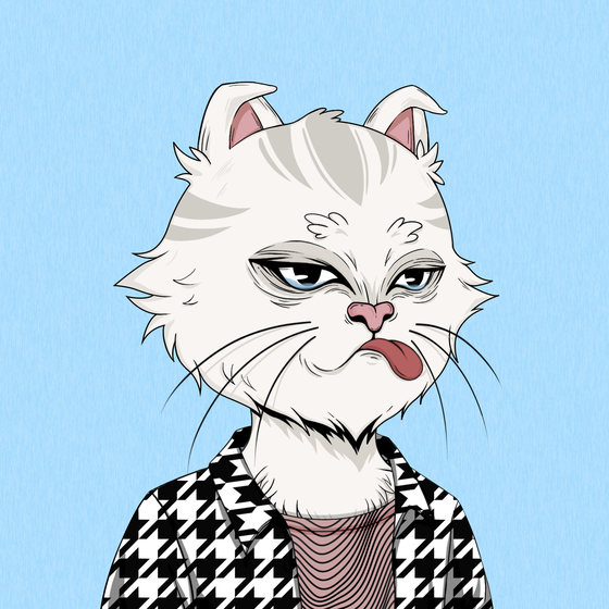 Angry Cat #3357