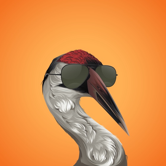 #169 Crane