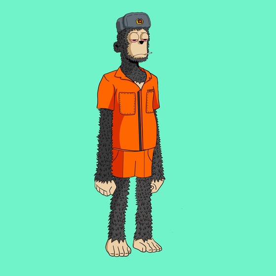 y00tfulls#181