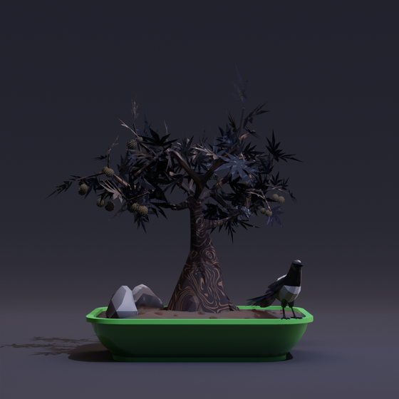 Bonsai #4080