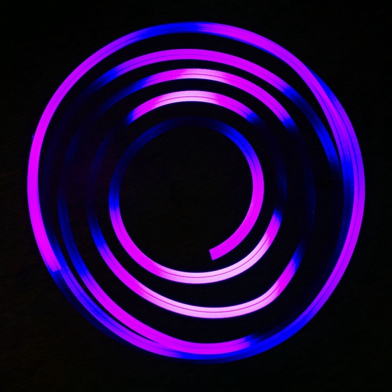 Purple Passion