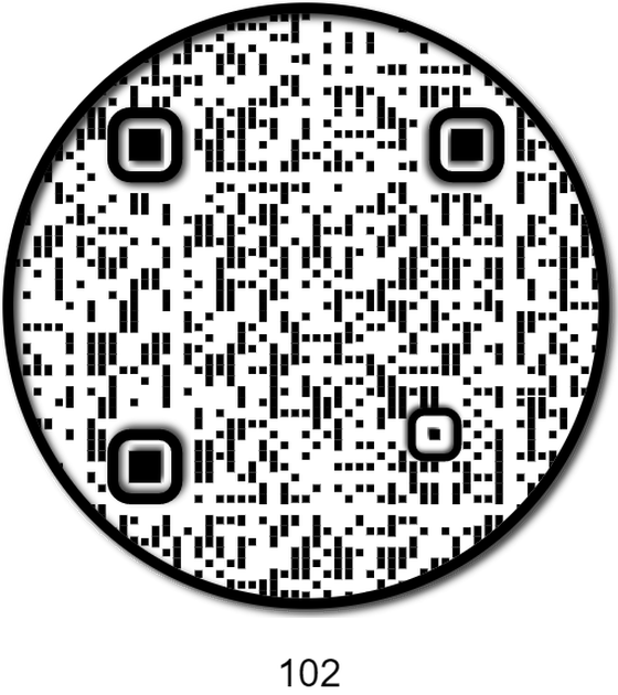 APE QR #102