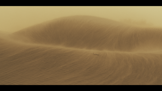 II. Sand Storm: Deleted Scene III