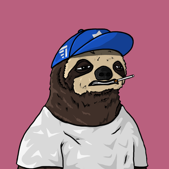 Sammy Sloth Amazon Rainforest Project #127