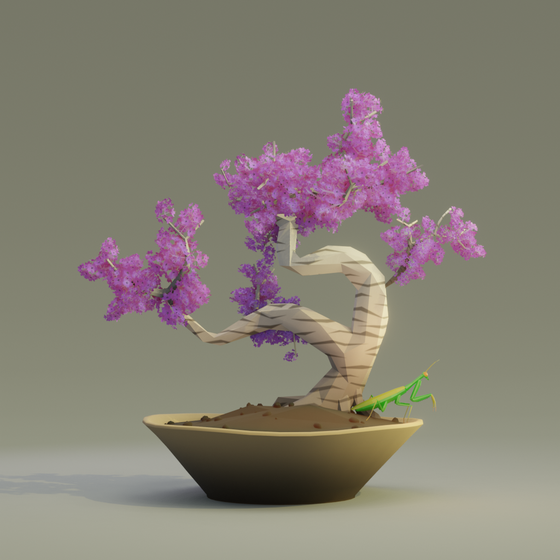 Bonsai #5611