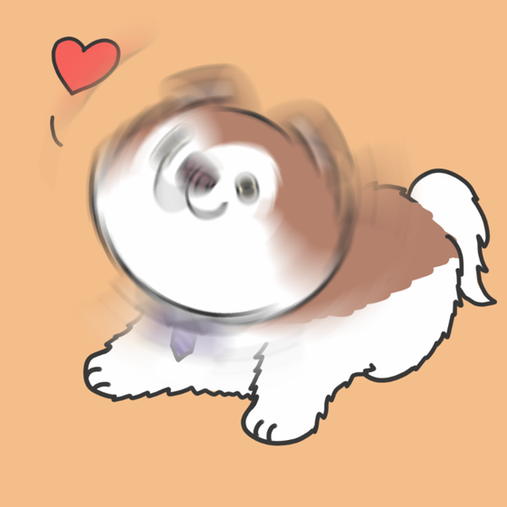 DogDrill#1190
