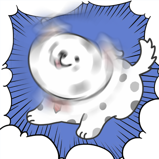 DogDrill#651