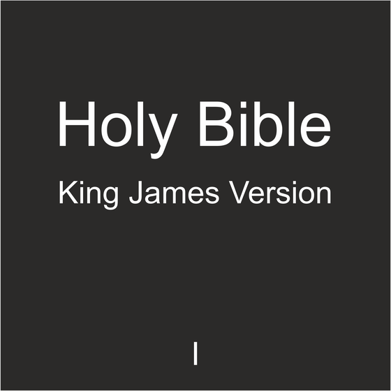 Holy Bible: King James Version #47/97